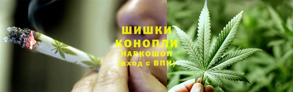 ECSTASY Медногорск