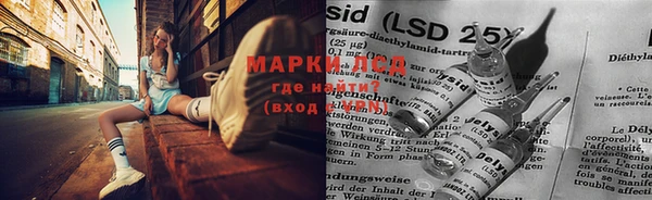 ECSTASY Медногорск